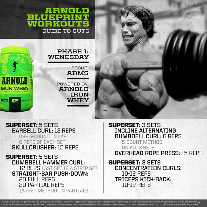 Arnold Schwarzenegger Workout Routine and Diet Plan [Updated]