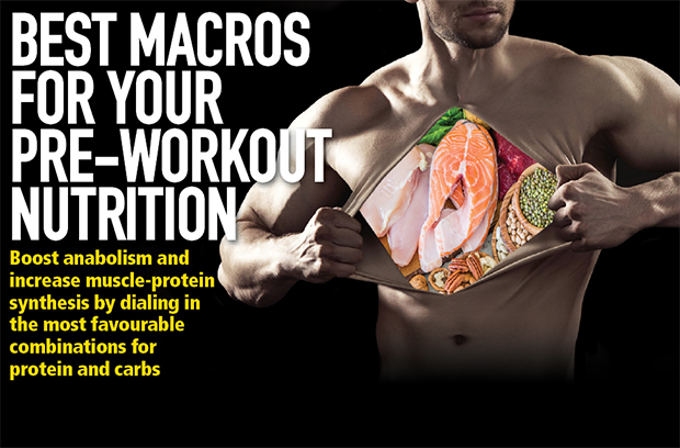 macrobolic nutrition